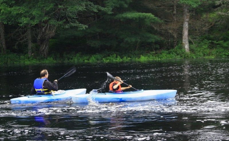 Trout Point Lodge Of Nova Scotia East Kemptville Dış mekan fotoğraf