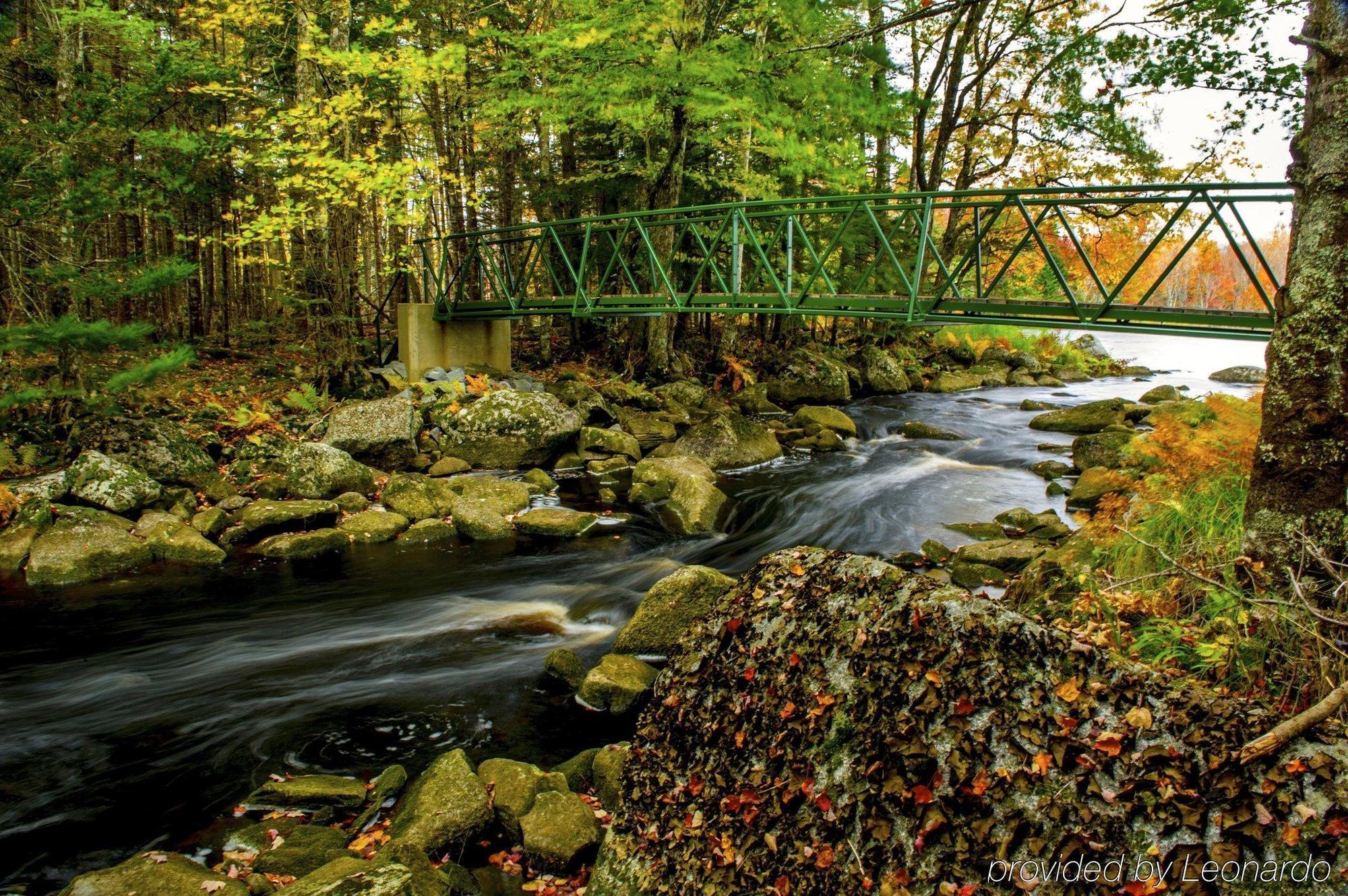 Trout Point Lodge Of Nova Scotia East Kemptville Dış mekan fotoğraf