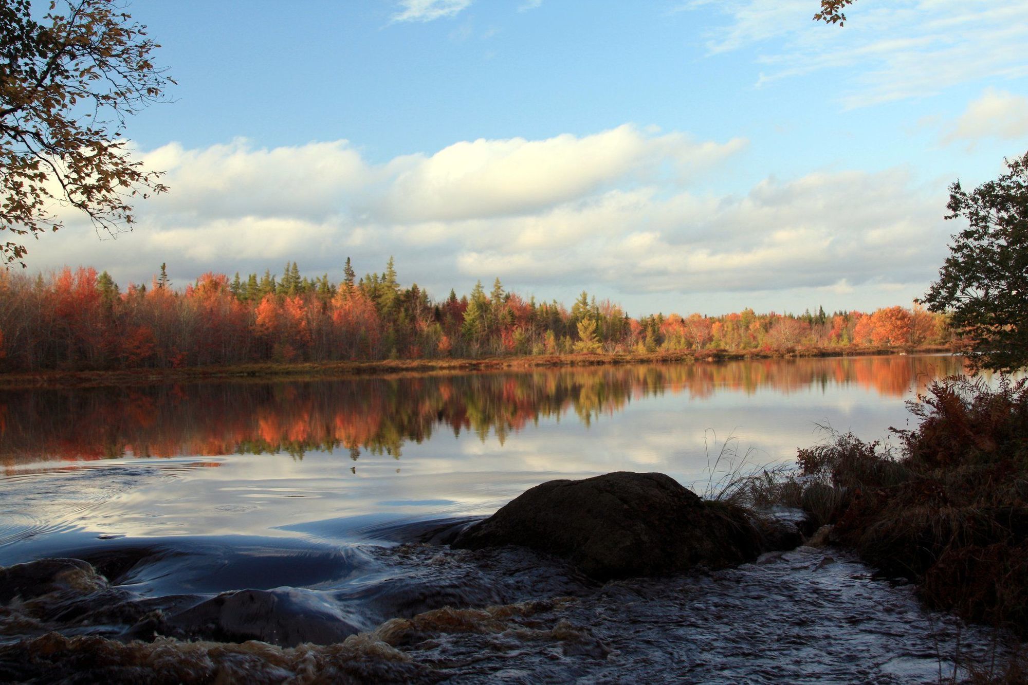 Trout Point Lodge Of Nova Scotia East Kemptville Konforlar fotoğraf