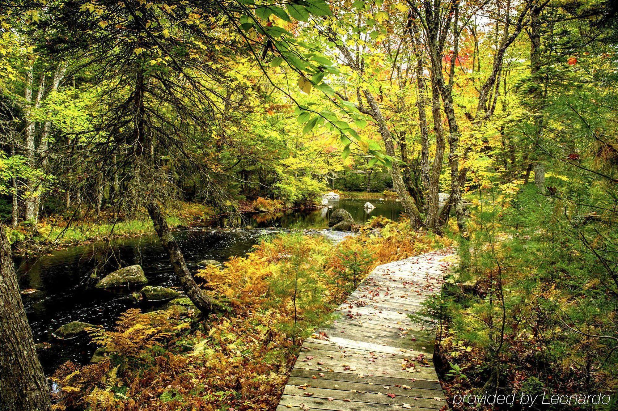 Trout Point Lodge Of Nova Scotia East Kemptville Dış mekan fotoğraf
