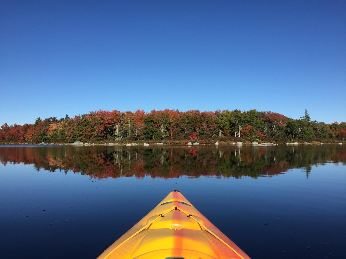 Trout Point Lodge Of Nova Scotia East Kemptville Dış mekan fotoğraf