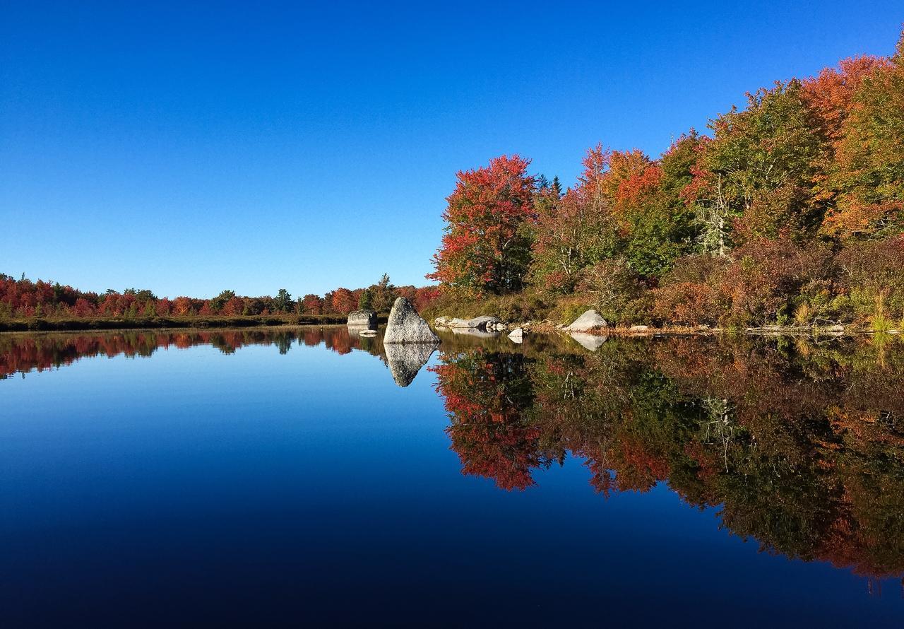 Trout Point Lodge Of Nova Scotia East Kemptville Dış mekan fotoğraf